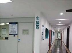湖北省亲子鉴定机构在哪里，湖北省亲子鉴定价格