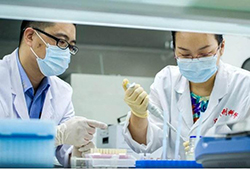 湖北省DNA鉴定哪家医院可以做，湖北省办理亲子鉴定办理方法