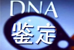 湖北省哪里有正规的亲子鉴定咨询机构，湖北省正规DNA鉴定要多少钱的费用