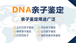 湖北省司法亲子鉴定流程，湖北省司法DNA亲子鉴定中心地址电话查询
