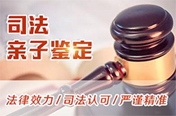 湖北省司法亲子鉴定的流程(办理地址)，湖北省司法DNA亲子鉴定到哪里