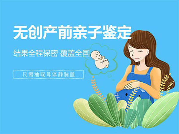 湖北省怀孕如何办理亲子鉴定,湖北省胎儿亲子鉴定详细流程及材料