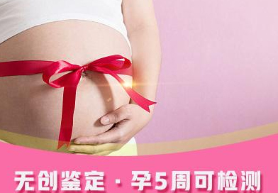 湖北省怀孕如何做血缘检测,湖北省孕期做亲子鉴定如何办理