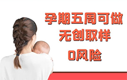 湖北省胎儿亲子鉴定要如何办理，湖北省怀孕亲子鉴定生物检材有哪些