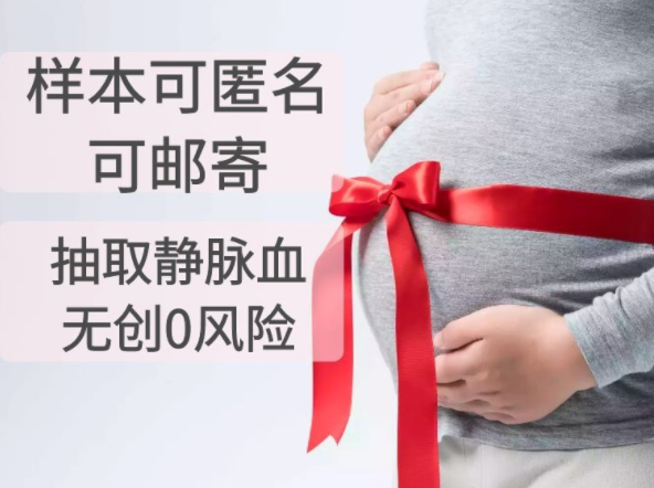 湖北省怀孕如何办理亲子鉴定,湖北省胎儿亲子鉴定详细流程及材料
