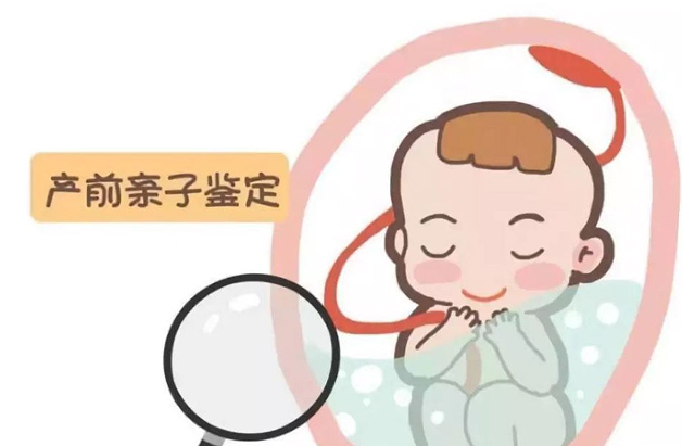 在湖北省怀孕期间如何做胎儿亲子鉴定,在湖北省怀孕期间做亲子鉴定正确吗