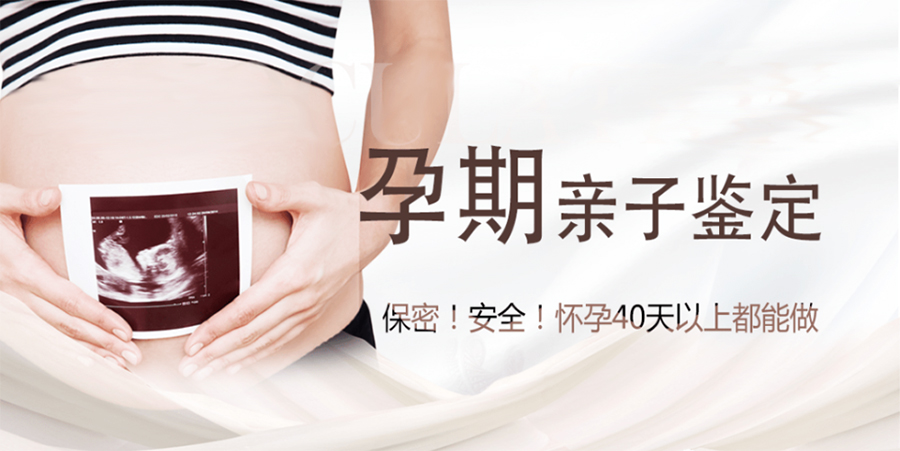 湖北省孕期亲子鉴定多少费用,