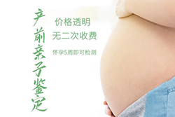 湖北省孕期亲子鉴定流程（免费预约）