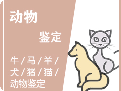 湖北省动物鉴定