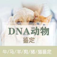 湖北省动物鉴定